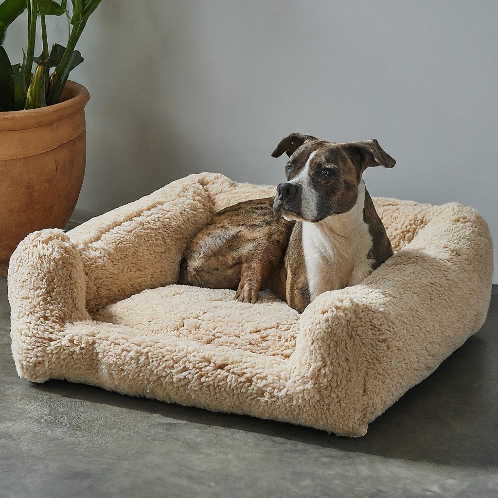 Benefits of a Bolster Dog Bed