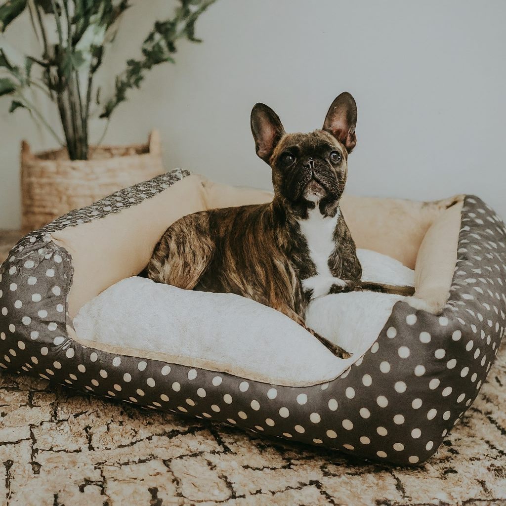 Cleaning, Maintenance and Safety of the Dog Bed