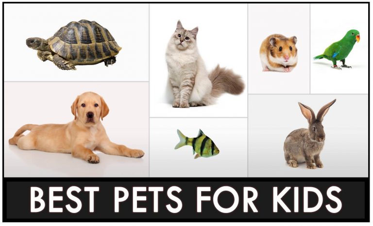 7 Best Pets For Kids: What Are Good Pets For Kids?