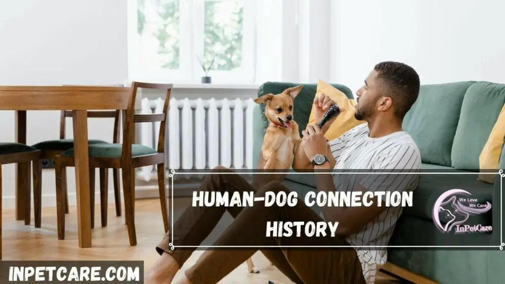 Human-Dog Connection History