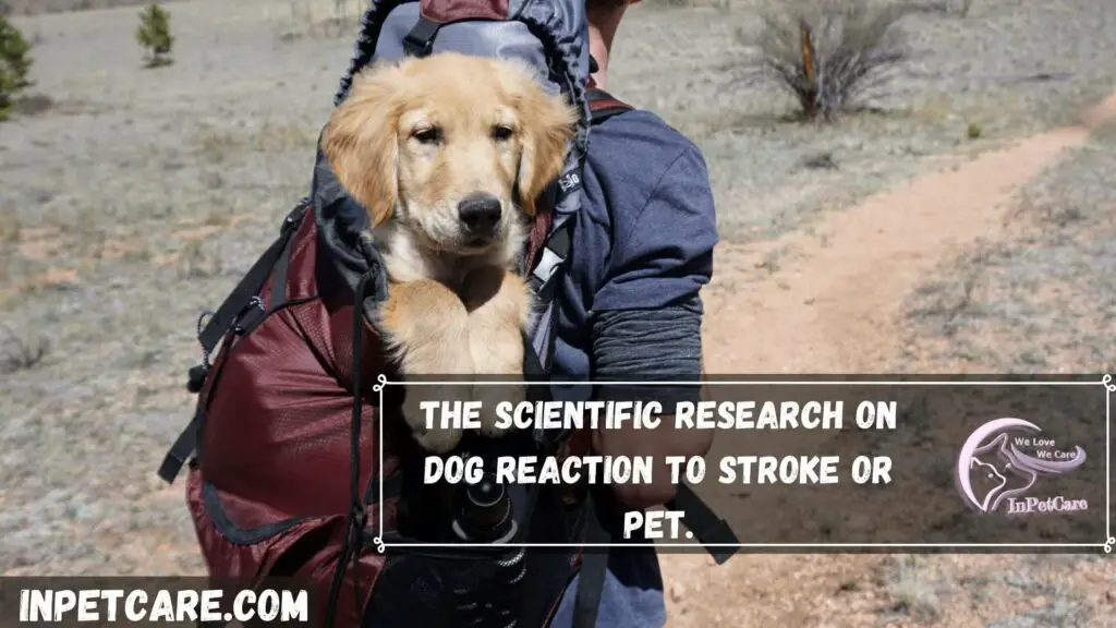 The scientific research on dog reaction to Praising or petting