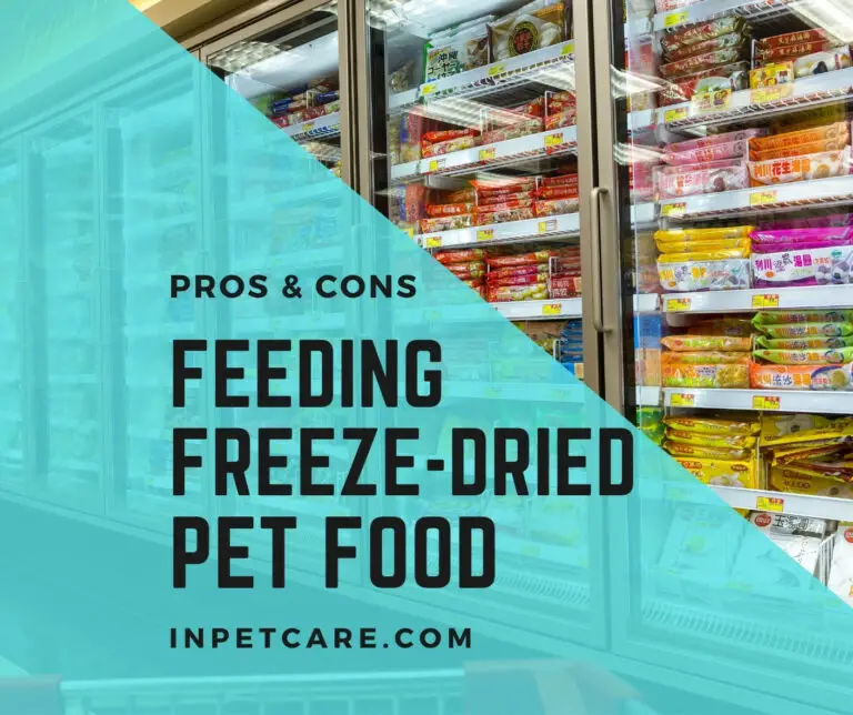 feeding-freeze-dried-raw-food-to-your-pets-5-pros-and-cons