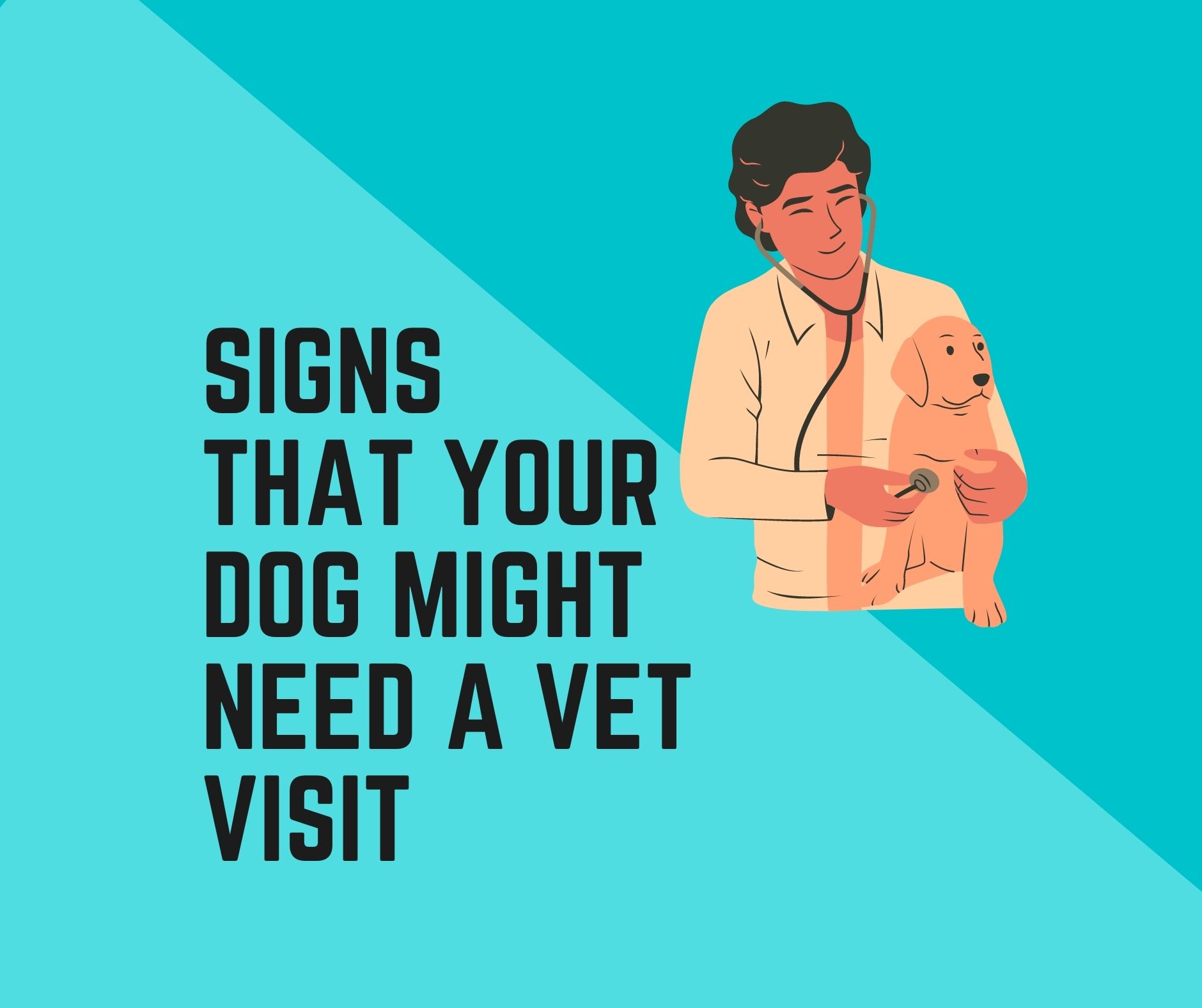 5-signs-that-your-dog-might-need-a-visit-to-the-vet