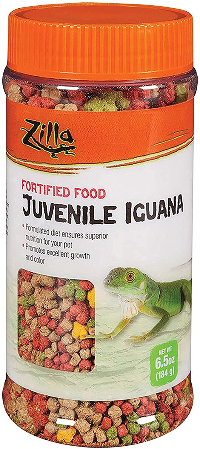 Best Food For Iguanas: What Are Iguanas Favorite Food?