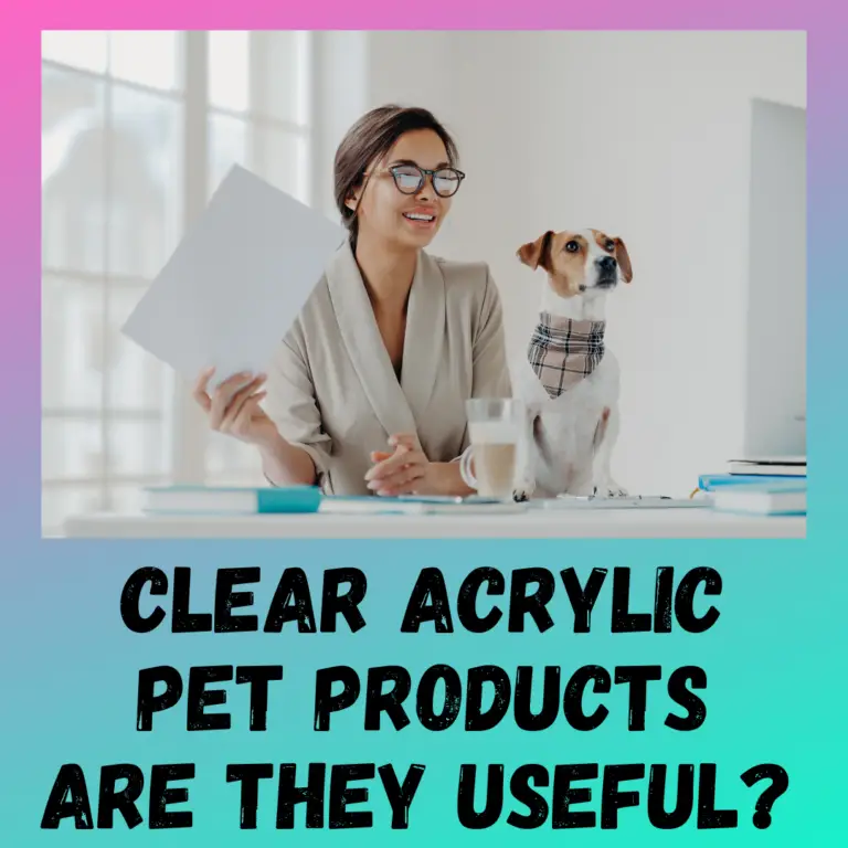 clear-acrylic-pet-products-why-they-are-perfect-2022-review