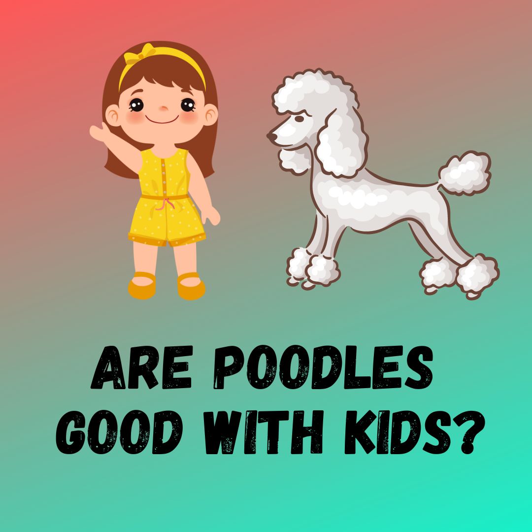 are standard poodles good with children