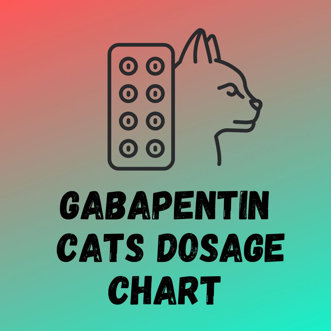 Gabapentin For Cats Dosage Chart, Uses & Side Effects