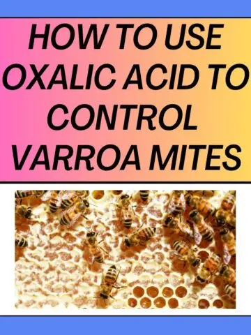 Oxalic Acid to Control Varroa Mites