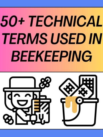 Technical Terms Used In Beekeeping