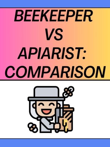 Beekeeper vs Apiarist