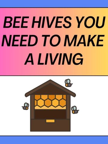 Bee Hives Do You Need To Make A Living