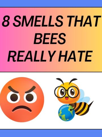 Smells That Bees Hate