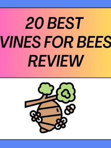 Best Vines for Bees