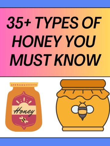 Types of Honey You Must Know