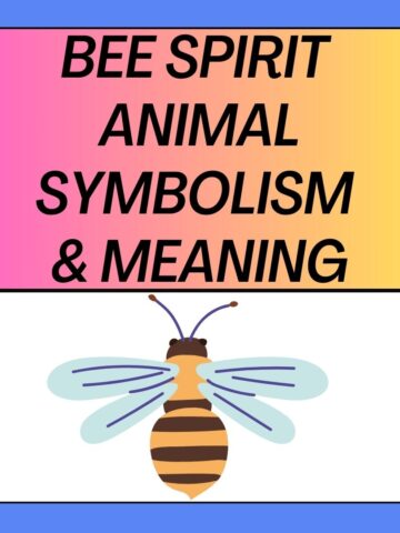 Bee Spirit Animal Symbolism & Meaning