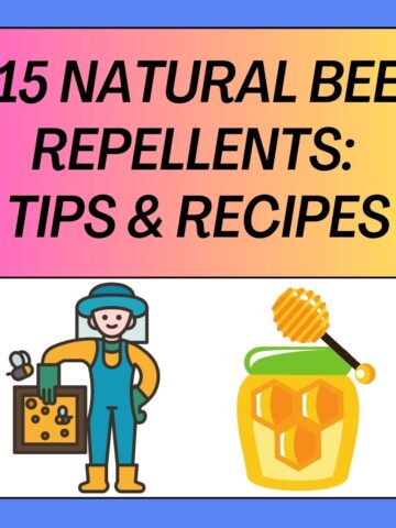 Natural Bee Repellents