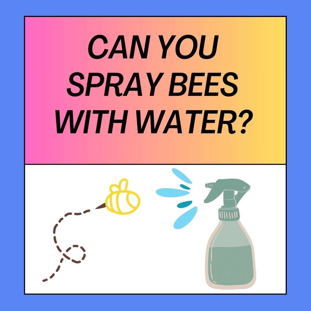 can-you-spray-bees-with-water-pros-cons-and-alternatives