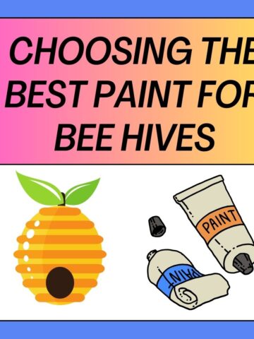 Choosing the Best Paint for Bee Hives