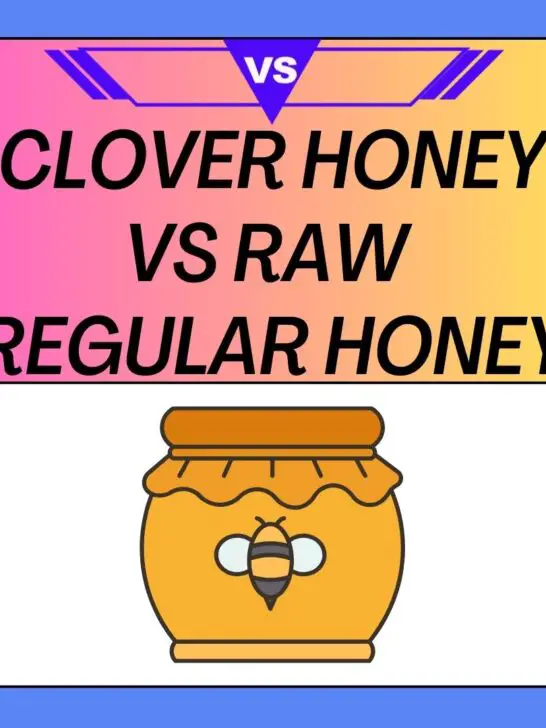 Clover Honey vs Raw and Regular Honey: Unveiling Sweet Differences