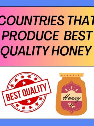 Countries that Produce the Best Quality Honey in the World