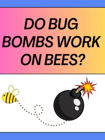 Do Bug Bombs Work On Bees