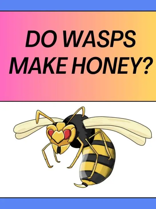 Do Wasps Make Honey? 5 Ways Wasps Consume Food