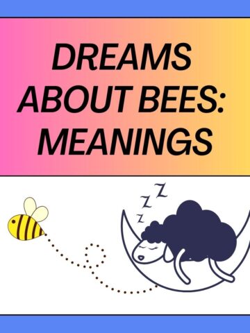 Dreams About Bees Meanings and Interpretations