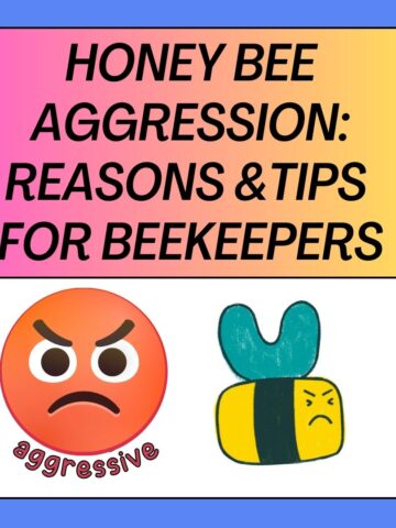 Honey Bee Aggression Reasons and Tips for Beekeepers