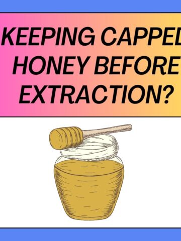 How Long Can You Keep Capped Honey Before Extraction