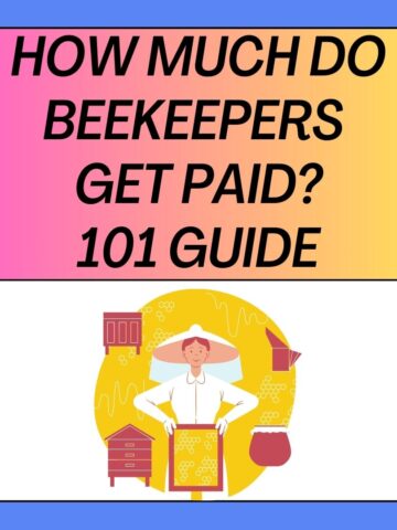 How Much Do Beekeepers Get Paid 101 Guide