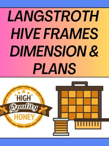 Langstroth Hive Frames Dimensions and Plans