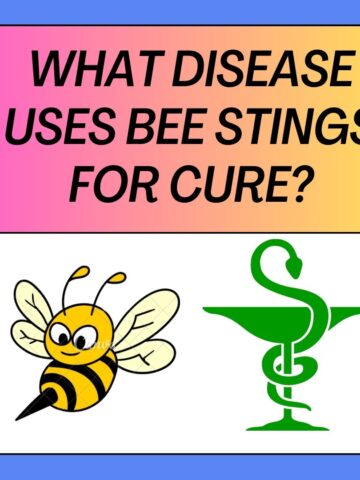 What Disease Uses Bee Stings For Cure?