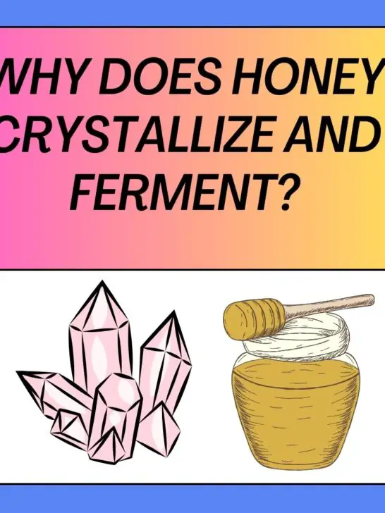 Why Does Honey Crystallize and Ferment? How to Decrystallize It