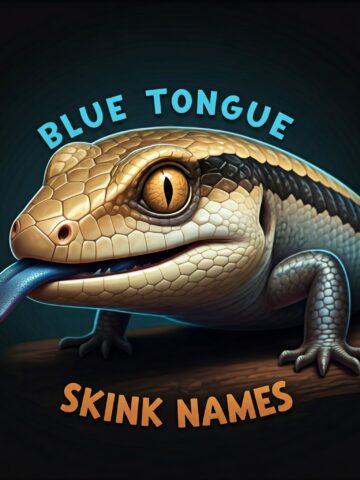 Blue Tongue Skink Names Ideas