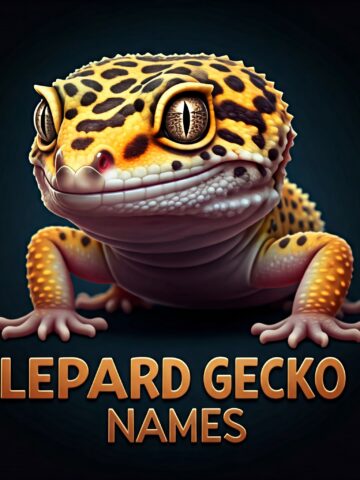 leopard gecko names