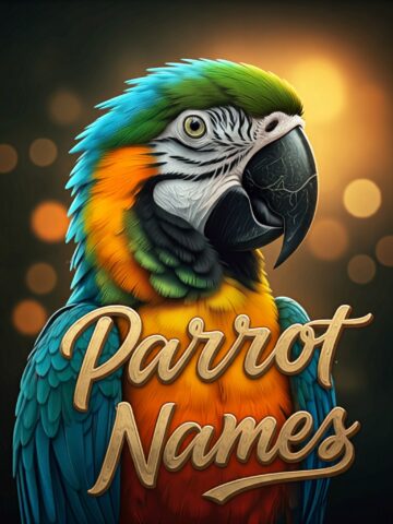 Parrot Names Ideas