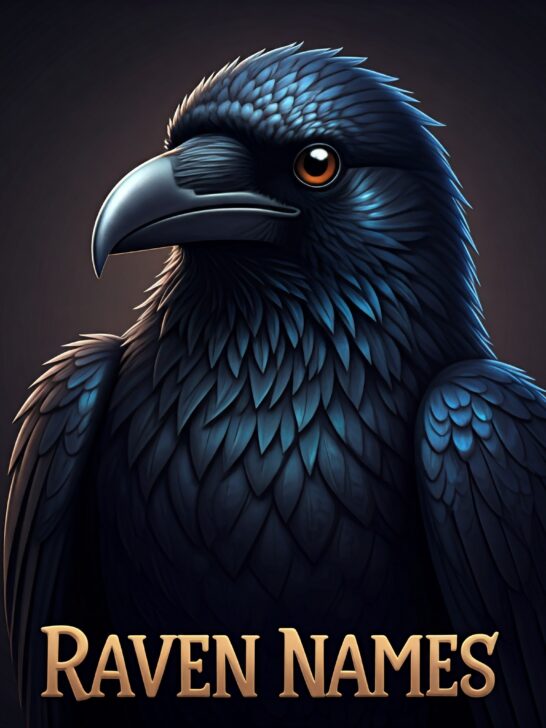 Raven Names Ideas: Cute, Funny, Rare and Mythical